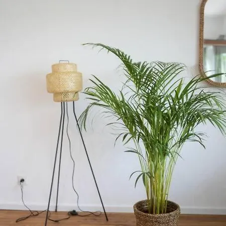 Boho Stil Mit Flussblick Nahe Stadtzentrum * Coblence