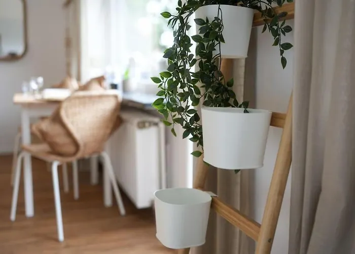 Boho Stil Mit Flussblick Nahe Stadtzentrum Апартаменты *