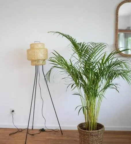 Boho Stil Mit Flussblick Nahe Stadtzentrum * Кобленц